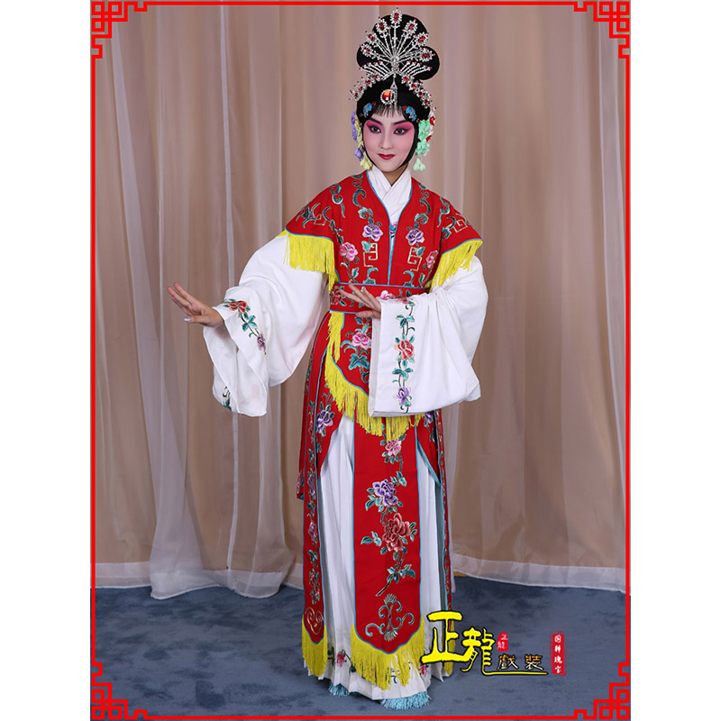 巨野戏曲服装舞台演出红娘装